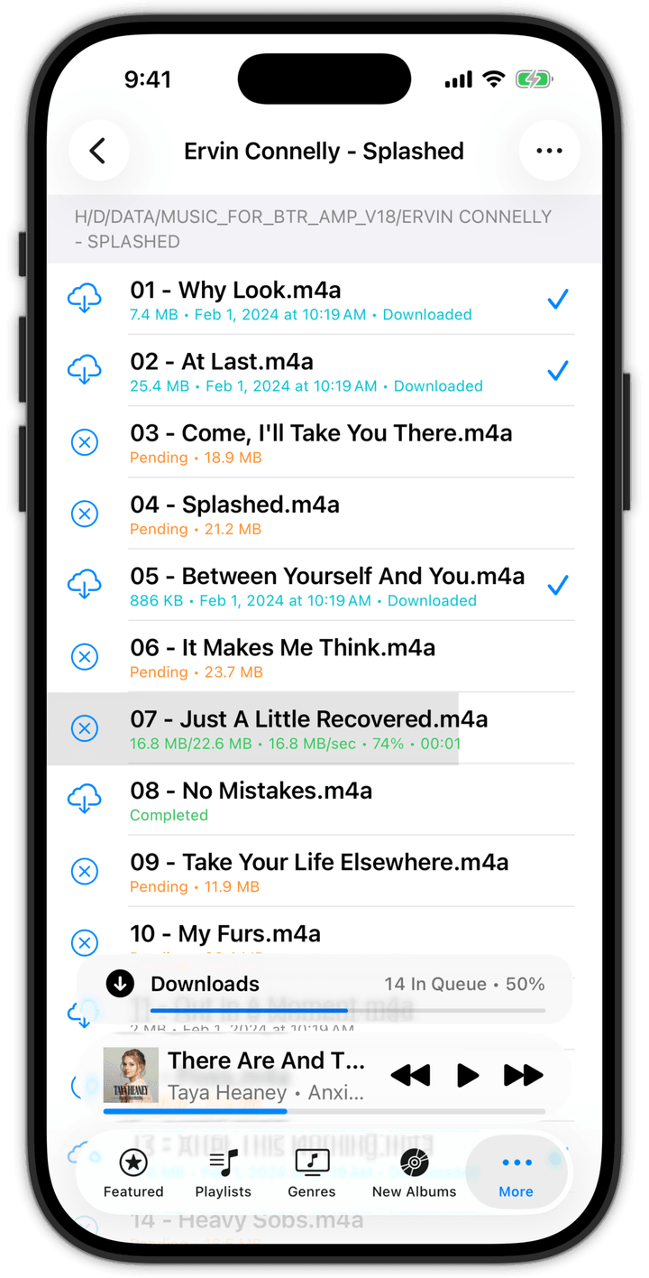BTR AMP - Screenshot - Downloads