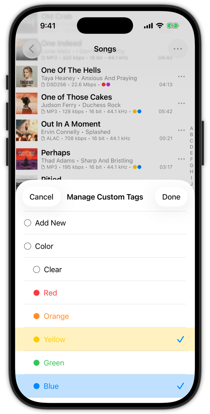 BTR AMP - Screenshot - Custom Tags